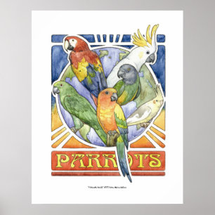 En papegoja värld poster
