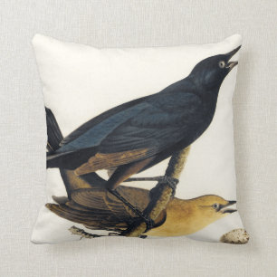 En para av Fartyg-Tailed Grackles Kudde