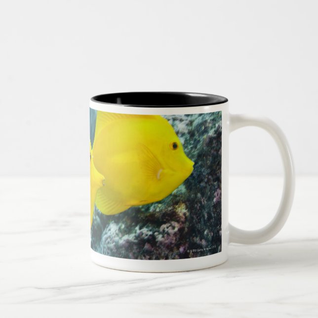 En para av gula Tangs Två-Tonad Mugg (Höger)