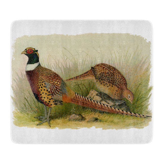 En para av ringen hånglade pheasants i ett gräs- (Framsidan)