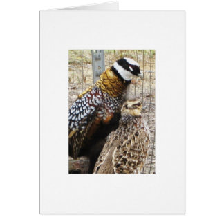 En para av trär igenom Pheasants Hälsningskort