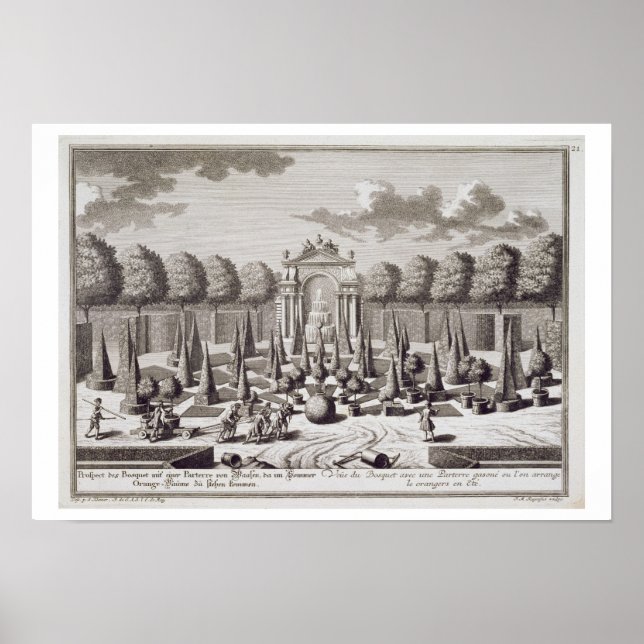 En partner med orange träd i trädgården poster (Framsidan)