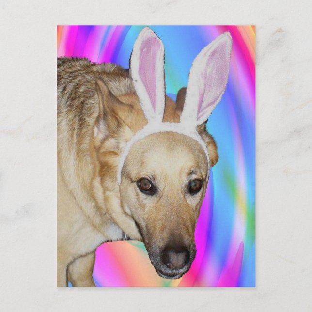 En Påskhare? Helg Vykort (Framsida)