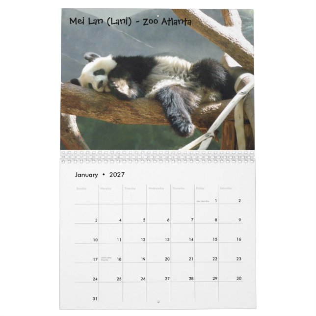 En passion för Pandas! , Calendar 2009, Pho… Kalender (Jan 2027)