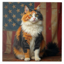 En patriotisk katt