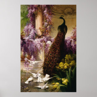 En peacock och Doves i en Garden Print Poster