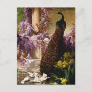 En peacock och Doves i en Garden Print Vykort