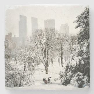 En Pedicab i Central Park under vinter Underlägg Sten