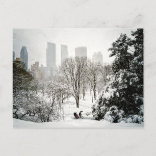 En Pedicab i Central Park under vinter Vykort