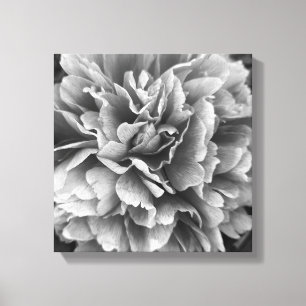 En Peony av vilken annan Namn som helst Canvastryck