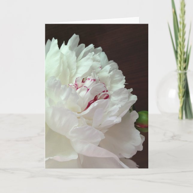 En peony för ditt tankekort med tomt anteckningsko anteckningskort (Framsida)