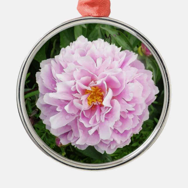 En Peony med Raindrops Julgransprydnad Metall (Framsidan)