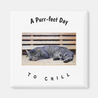 En perfekt dag för kylning magnet