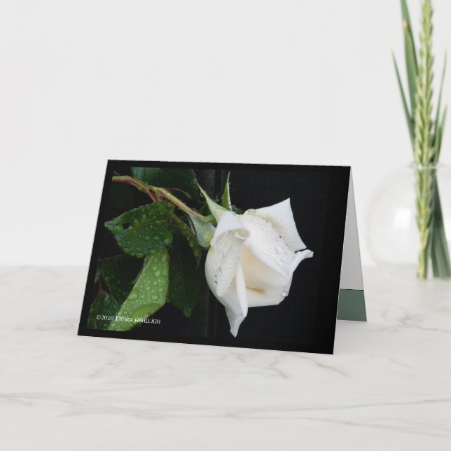 En pilbåge till morgonen kort (Framsida)