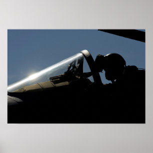 En pilot förbereder sig för start poster