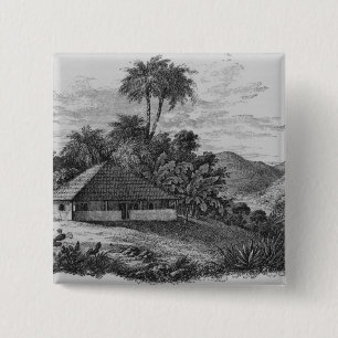 En planters hus i Brasilien Knapp