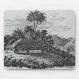 En planters hus i Brasilien Musmatta