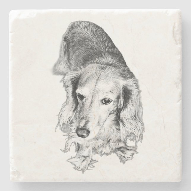 En plats att dröja – Långhårig dachshund Stenunderlägg (Framsidan)