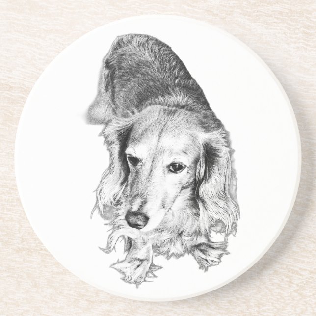 En plats att pausa – Långhårig dachshund Underlägg (Framsidan)