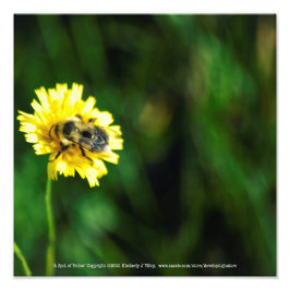 En plats med Gult Fototryck