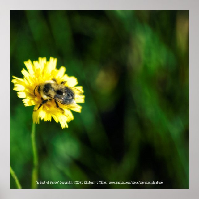 En plats med Gult Poster (Framsidan)