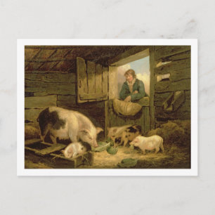 En pojke tittar in i en grisSty, 1794 (olja på Vykort