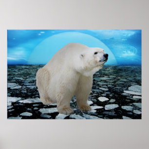 En polar har tid poster