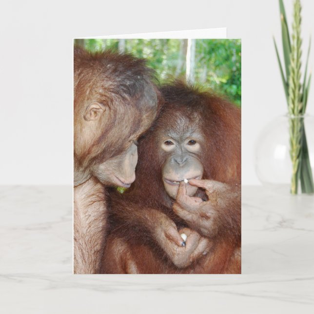 En prinsessa får alla Treats Kort (Framsida)