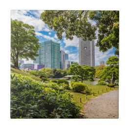 En promenad genom Hama Rikyu trädgårdar, Tokyo Kakelplatta