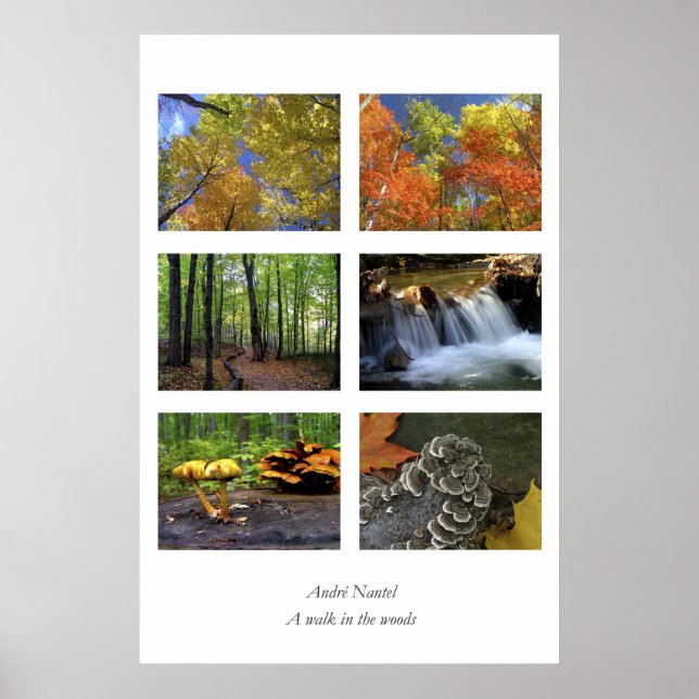 En promenad i skogen, poster (Framsidan)