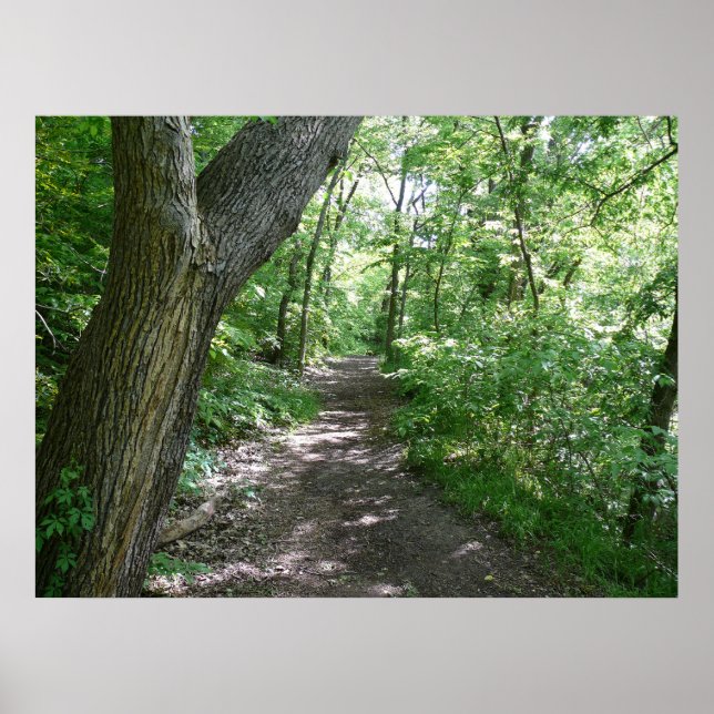 En promenad i skogen poster (Framsidan)