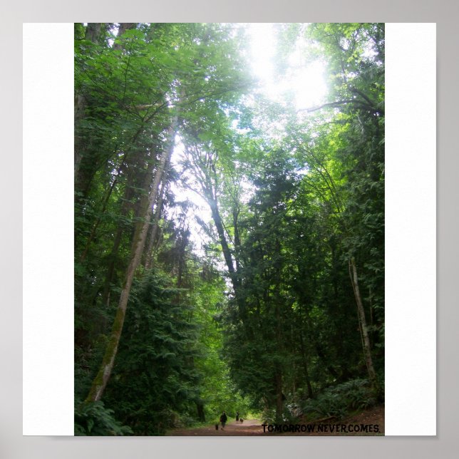 En promenad i Skogen Poster (Framsidan)