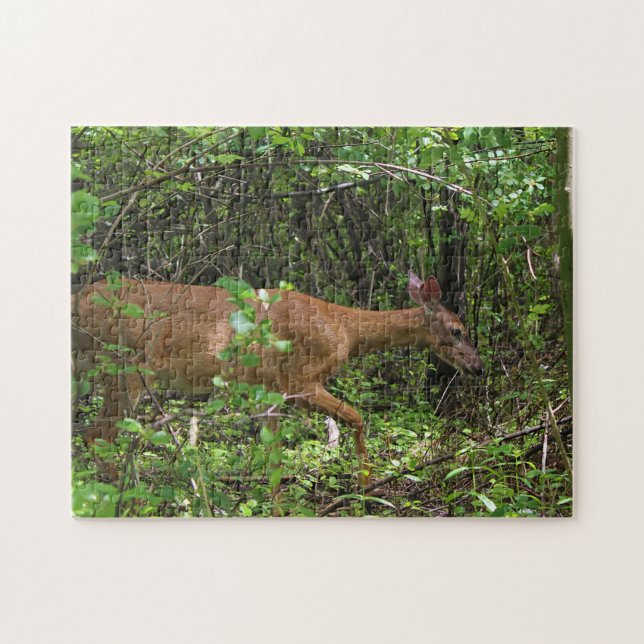 En promenad till och med skogen pussel (Horisontell)