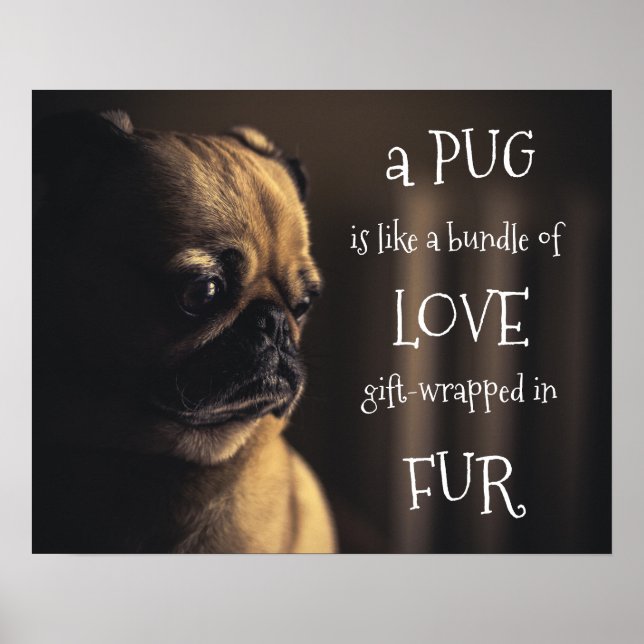 En pug är en bunt av Kärlek-gift i Päls Poster (Framsidan)