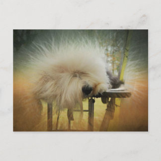 En Ray från Sunshine! Vykort