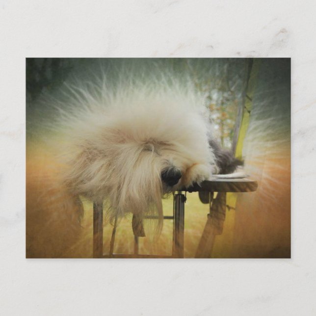 En Ray från Sunshine! Vykort (Framsida)