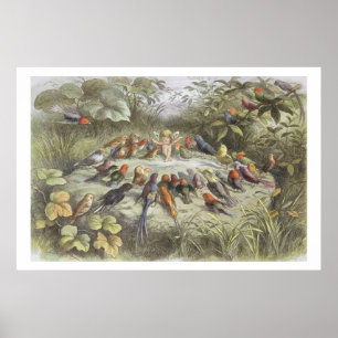 En repetition i Fairy Land, illustration av "In F Poster