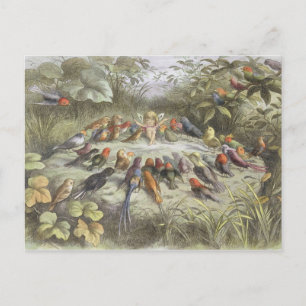 En repetition i Fairy Land, illustration av "In F Vykort