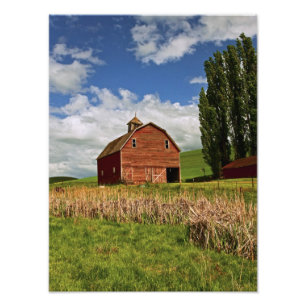 En resa genom jordbrukslandet Palouse Fototryck