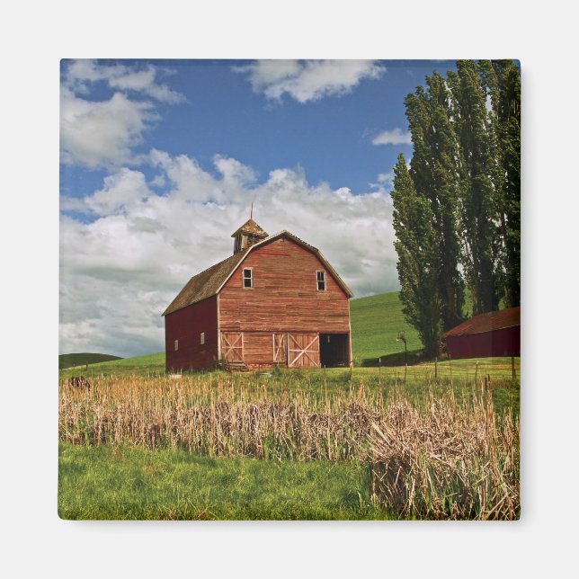 En resa genom jordbrukslandet Palouse Magnet (Framsidan)