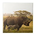 En Rhino med hennes baby Kakelplatta<br><div class="desc">Ett vackert foto av en noshörning med baby på en keramisk bricka från Pete Boll från Pixabay</div>