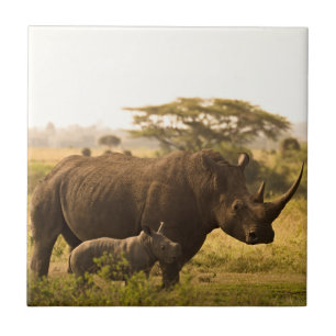 En Rhino med hennes baby Kakelplatta