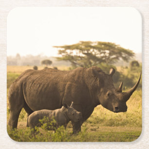 En Rhino med hennes baby Underlägg Papper Kvadrat
