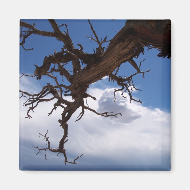 En riktig Cliffhanger Magnet (Framsidan)