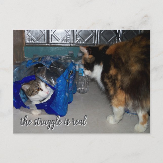 "En riktig kamp" Vykort (Framsida)