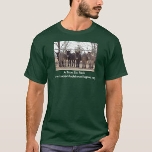 En riktig sex packe t shirt