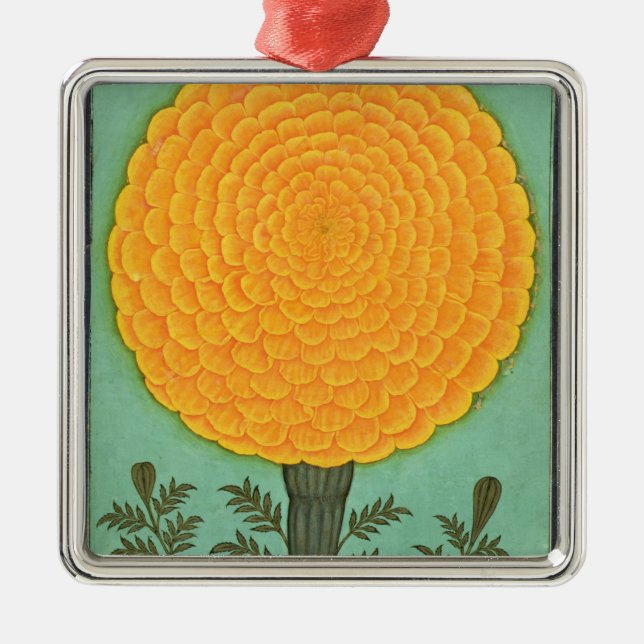 En ringblomma, från det små Clive album (w/c på Julgransprydnad Metall (Framsidan)