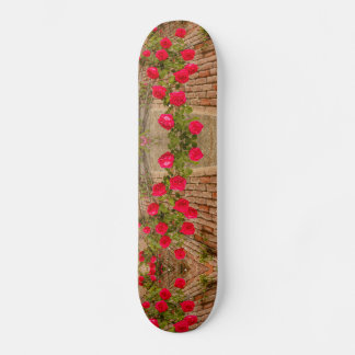 en ro klättring på en tegelvägg på skateboard bräda 20 cm
