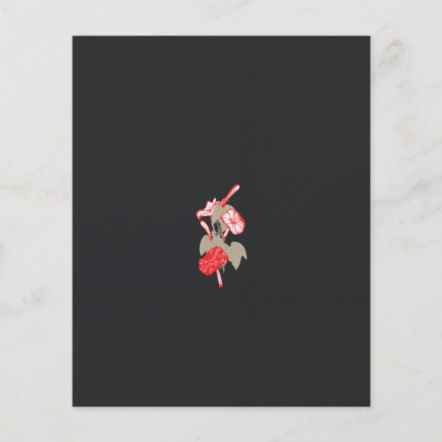 en röd blomma på vit bakgrund flygblad (Framsidan)