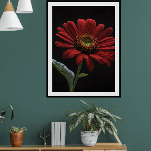 En röd Daisy Lämnat sida på svart, Poster